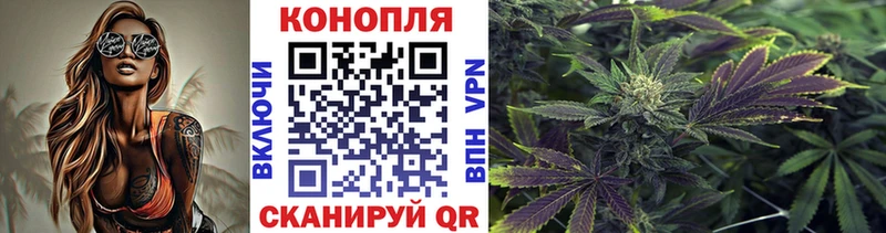 Наркошоп купить Альфа ПВП  МЕТАМФЕТАМИН  Меф мяу мяу  Конопля  Галлюциногенные грибы  Кодеин  АМФЕТАМИН  Кокаин  Арсеньев