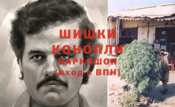 кокс Дмитриев