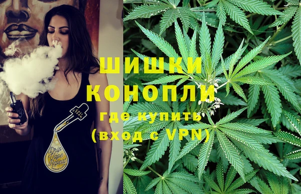 кокс Дмитриев