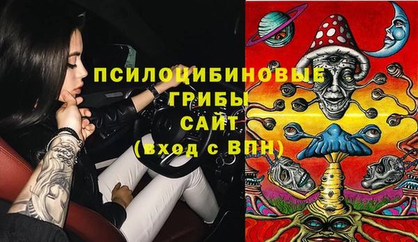 кокс Дмитриев