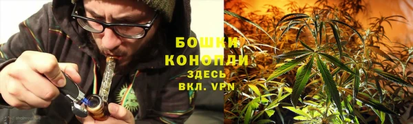 мяу мяу мука Дмитровск